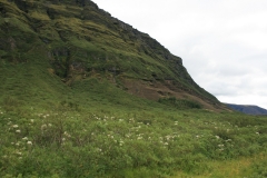 2008 – Fieldwork, Svínafell, Southeast Iceland